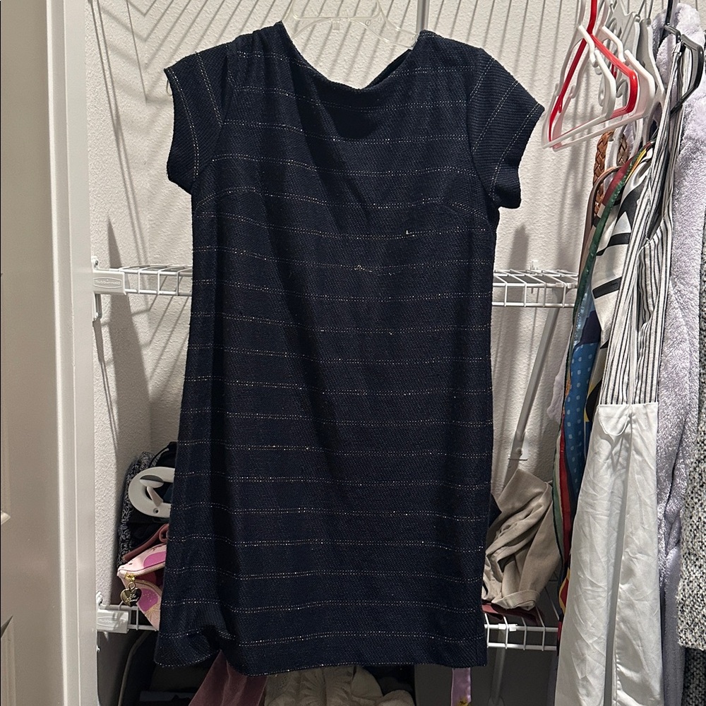 Elegant Navy Blue Striped Dress